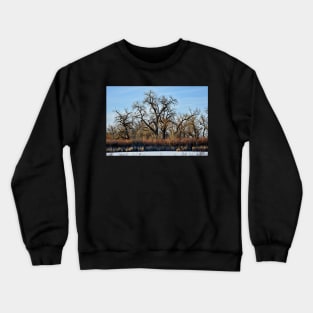 Cherry Creek Winter Study 2 Crewneck Sweatshirt